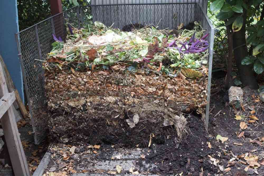 A backyard compost bin filled with layered organic materials such as food scraps, leaves, and garden waste, showing the natural decomposition process that turns waste into nutrient-rich compost.