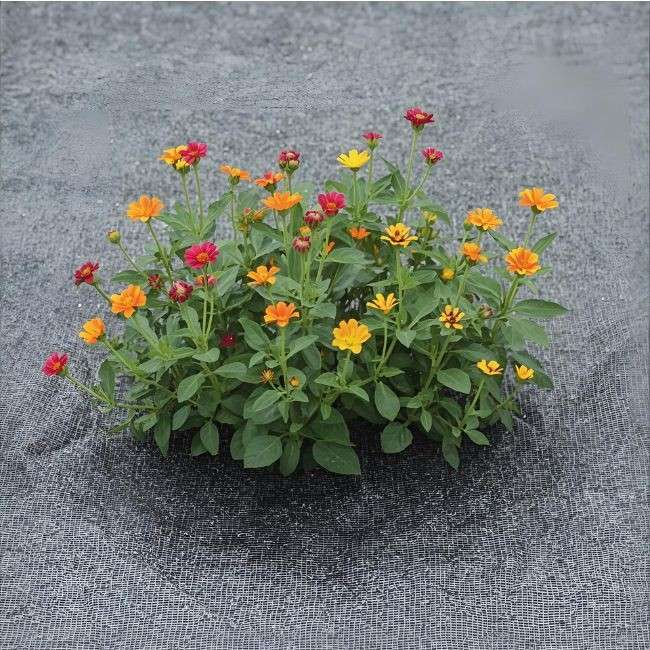 Landscape Fabric