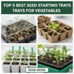 Top 5 Best Seed Starting Trays for Vegetables in 2025: Your Must-Have Guide