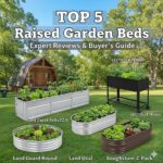 The 5 Best Raised Garden Beds: Our Expert Reviews & Why You Need One