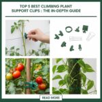 Top 5 Best Climbing Plant Support Clips: The In-Depth Guide