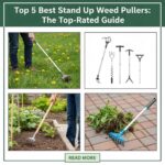 Top 5 Best Stand Up Weed Pullers: The Top-Rated Guide