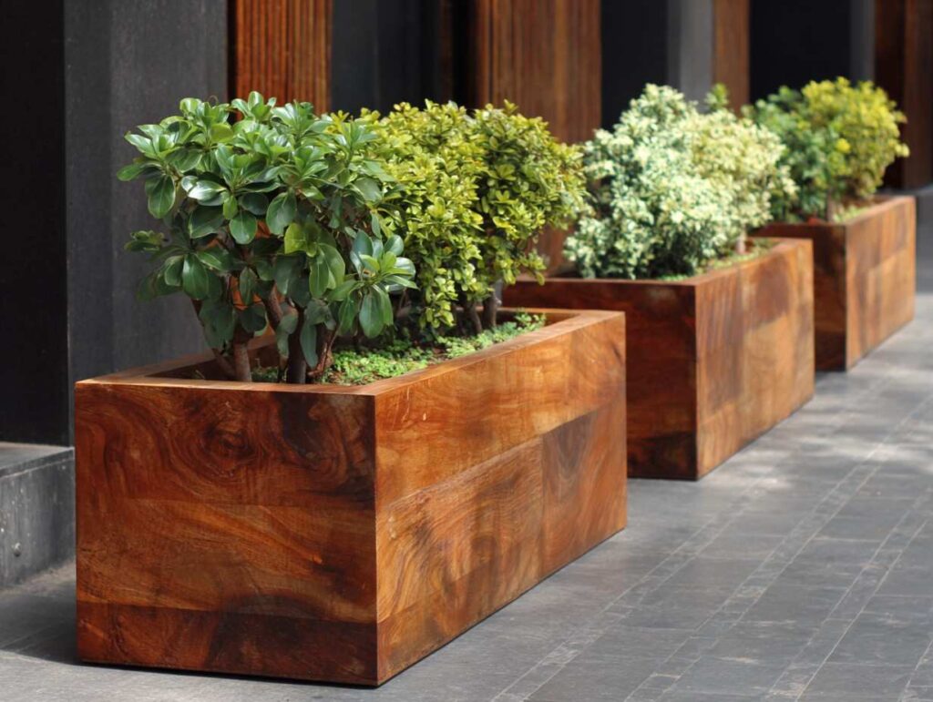 Wooden Planter Design 11: The Seamless Acacia Horizon 