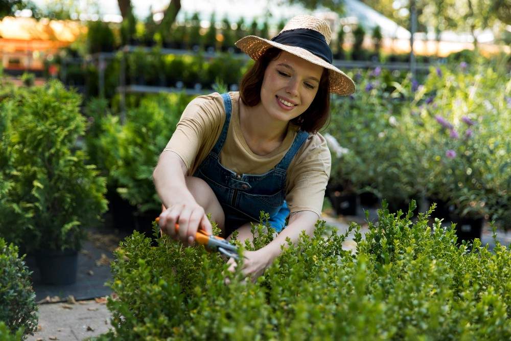 Planting in a backyard garden