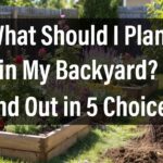 What Should I Plant in My Backyard? Find Out in 5 Choices